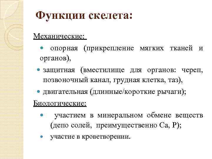 Функции скелета: Механические: опорная (прикрепление мягких тканей и органов), защитная (вместилище для органов: череп,