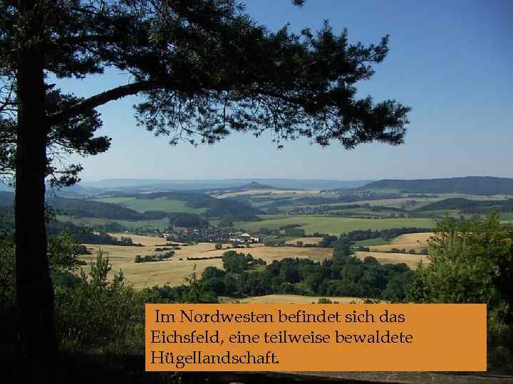  Im Nordwesten befindet sich das Eichsfeld, eine teilweise bewaldete Hügellandschaft. 