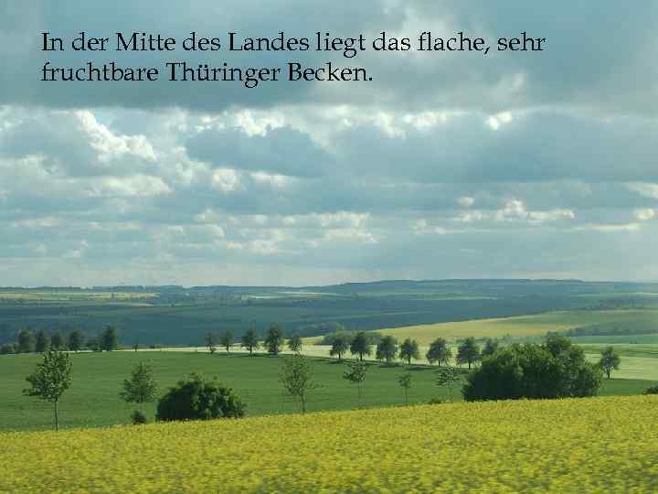 In der Mitte des Landes liegt das flache, sehr fruchtbare Thüringer Becken. 