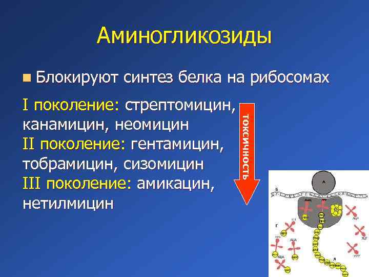 Антибиотики нарушающие синтез микробной стенки