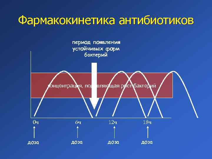 Фармакокинетика антибиотиков период появления устойчивых форм бактерий концентрация, подавляющая рост бактерий 0 ч 6