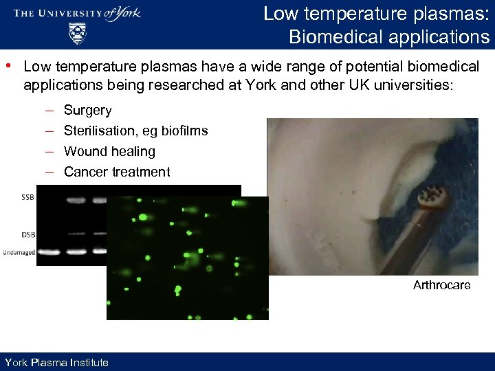Low temperature plasmas: Biomedical applications • Low temperature plasmas have a wide range of