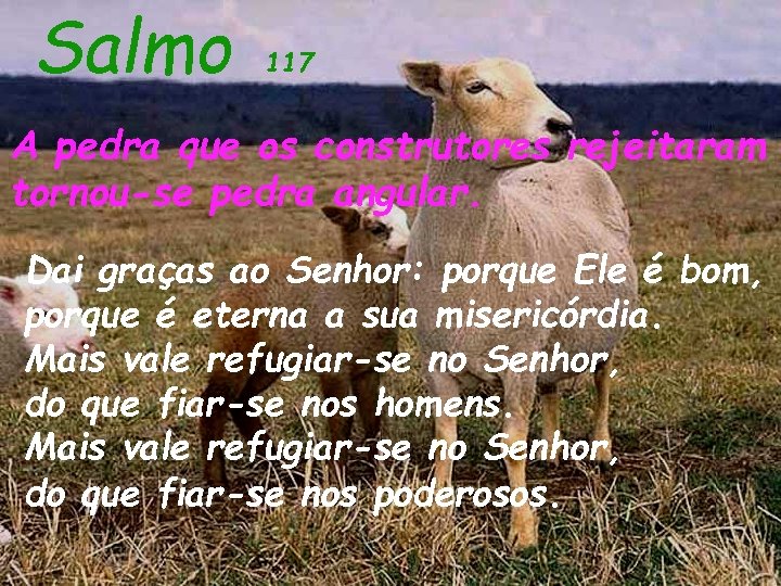 Salmo 117 A pedra que os construtores rejeitaram tornou-se pedra angular. Dai graças ao