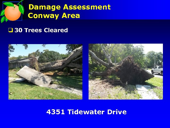 Damage Assessment Conway Area q 30 Trees Cleared 4351 Tidewater Drive 