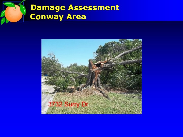Damage Assessment Conway Area 