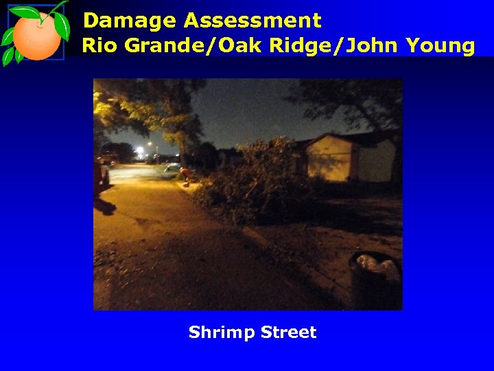 Damage Assessment Rio Grande/Oak Ridge/John Young Shrimp Street 