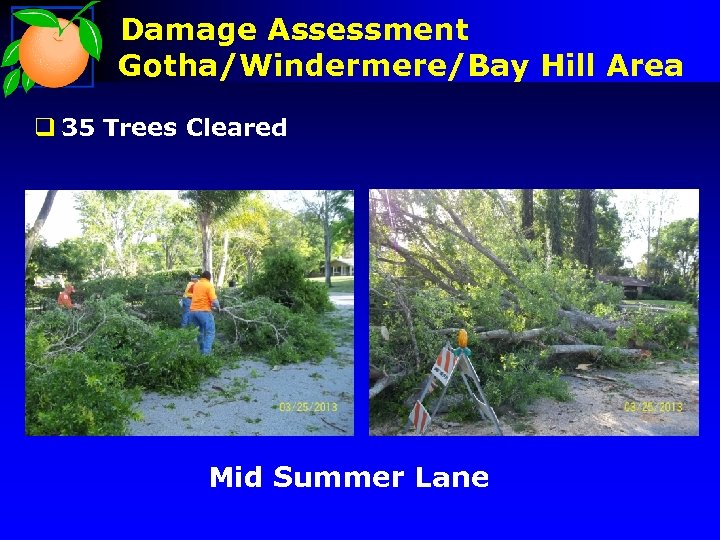 Damage Assessment Gotha/Windermere/Bay Hill Area q 35 Trees Cleared Mid Summer Lane 