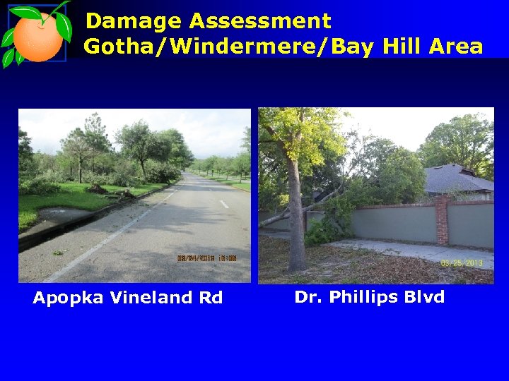 Damage Assessment Gotha/Windermere/Bay Hill Area Apopka Vineland Rd Dr. Phillips Blvd 