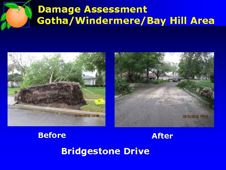 Damage Assessment Gotha/Windermere/Bay Hill Area Before Bridgestone Drive After 