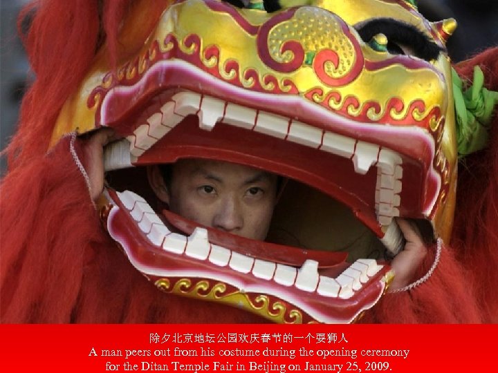 除夕北京地坛公园欢庆春节的一个耍狮人 A man peers out from his costume during the opening ceremony for the