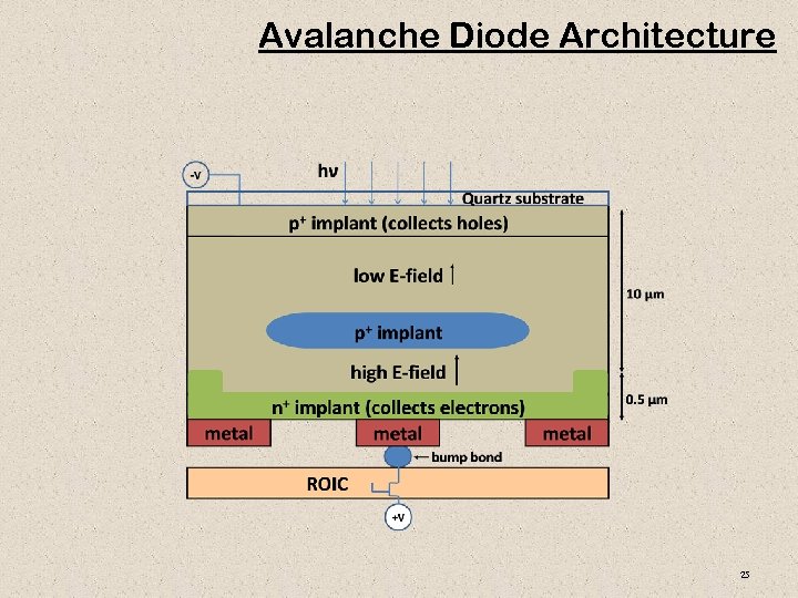 Avalanche Diode Architecture 25 