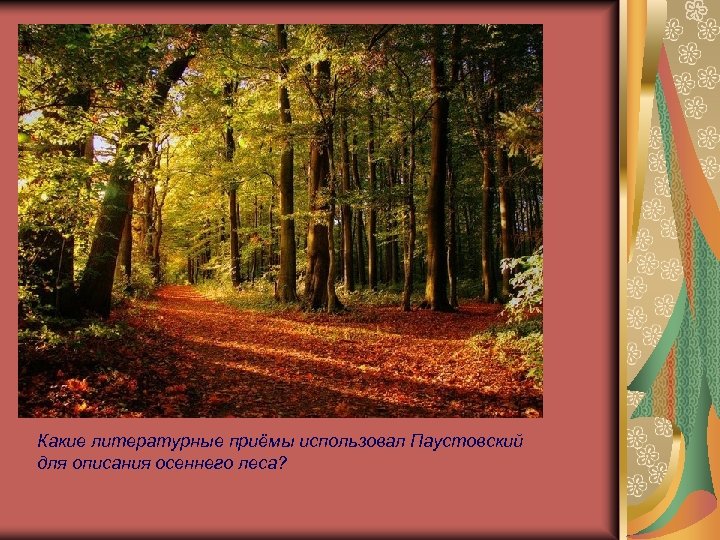 Какие литературные приёмы использовал Паустовский для описания осеннего леса? 