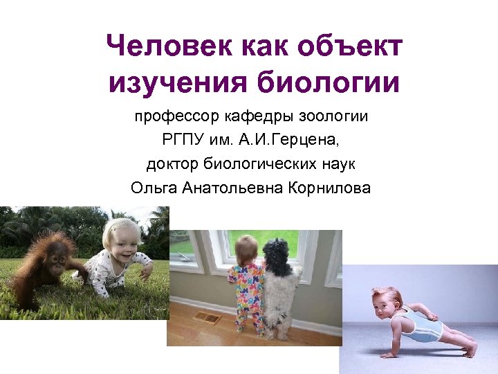 Человек как объект изучения биологии профессор кафедры зоологии РГПУ им. А. И. Герцена, доктор
