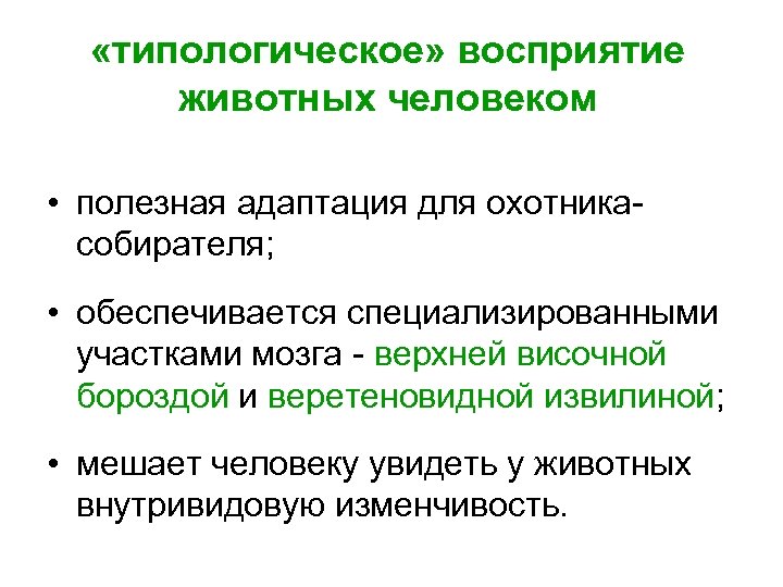  «типологическое» восприятие животных человеком • полезная адаптация для охотникасобирателя; • обеспечивается специализированными участками