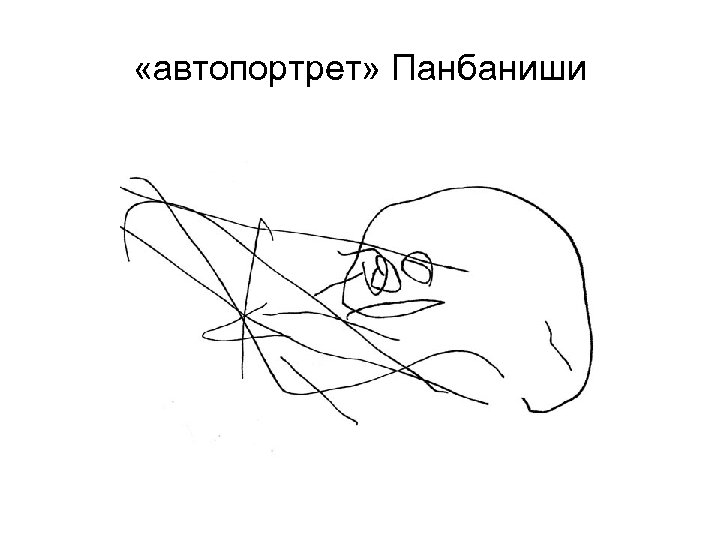  «автопортрет» Панбаниши 