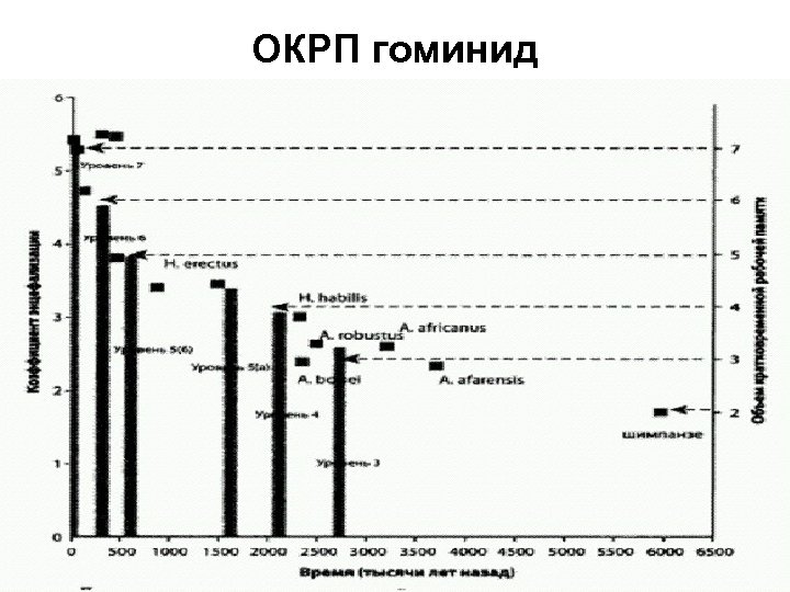 ОКРП гоминид 