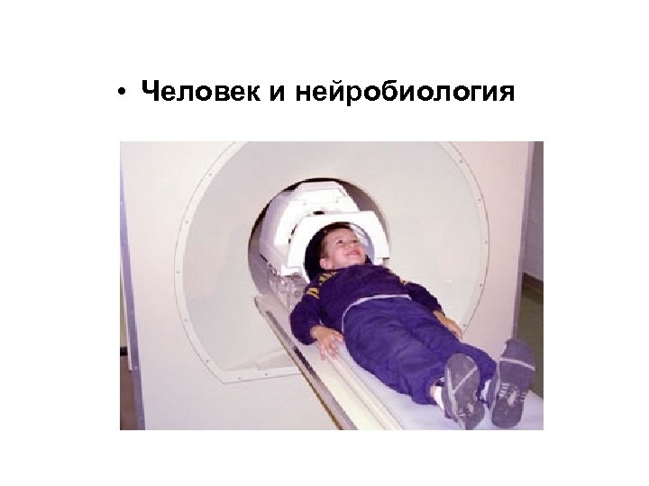  • Человек и нейробиология 