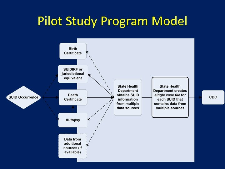 Pilot Study Program Model 