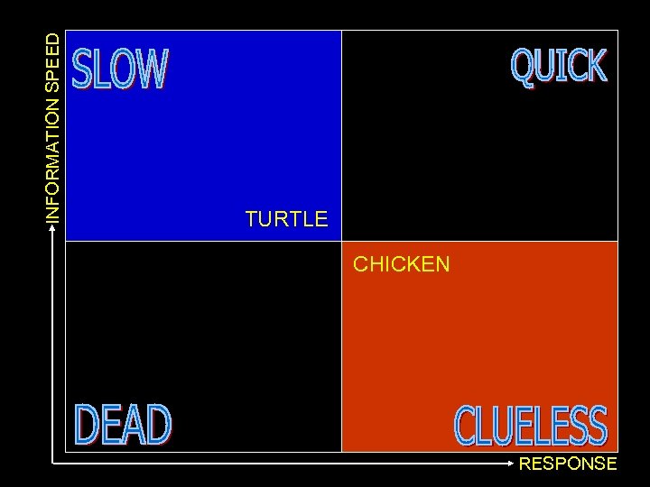 INFORMATION SPEED TURTLE CHICKEN RESPONSE 