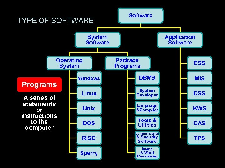 TYPE OF SOFTWARE Software System Software Operating System Programs A series of statements or