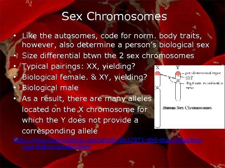Sex Chromosomes • Like the autosomes, code for norm. body traits, however, also determine
