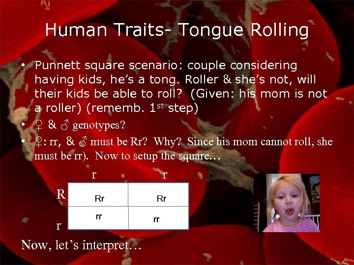 Human Traits- Tongue Rolling • Punnett square scenario: couple considering having kids, he’s a