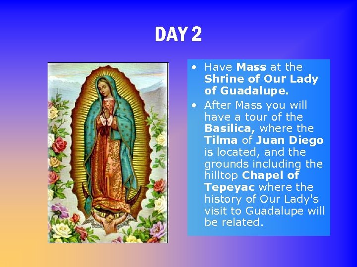 DAY 2 • Have Mass at the Shrine of Our Lady of Guadalupe. •