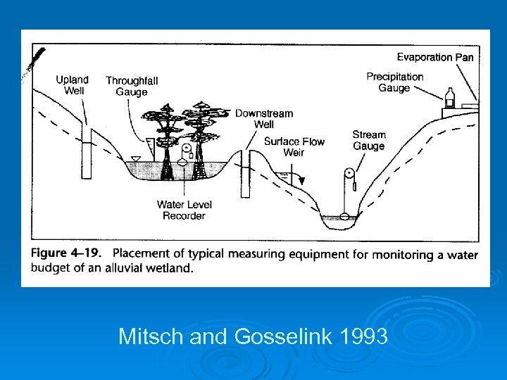 Mitsch and Gosselink 1993 