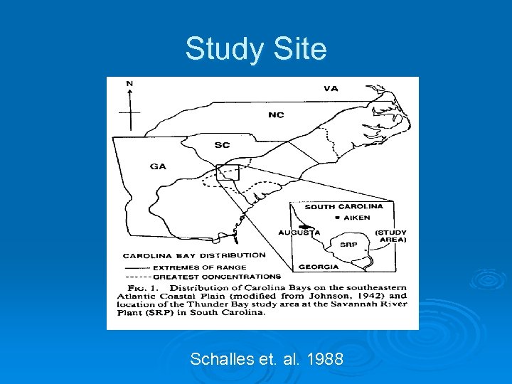 Study Site Schalles et. al. 1988 