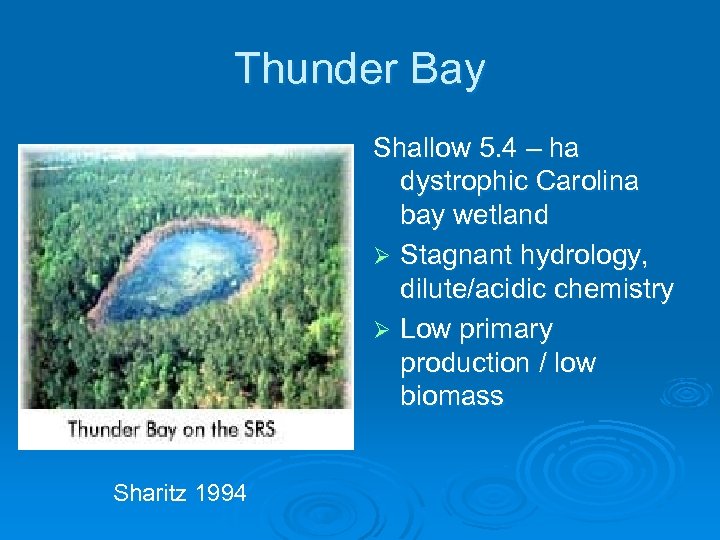 Thunder Bay Shallow 5. 4 – ha dystrophic Carolina bay wetland Ø Stagnant hydrology,
