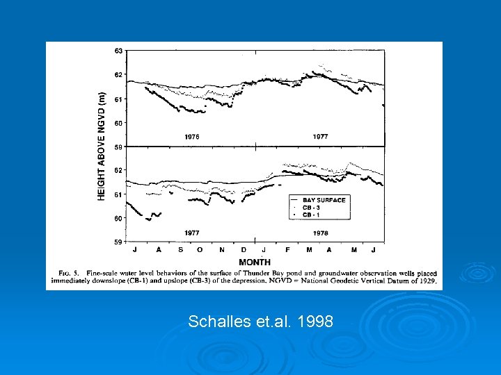 Schalles et. al. 1998 