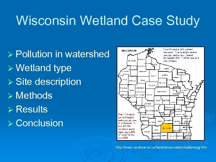 Wisconsin Wetland Case Study Ø Pollution in watershed Ø Wetland type Ø Site description