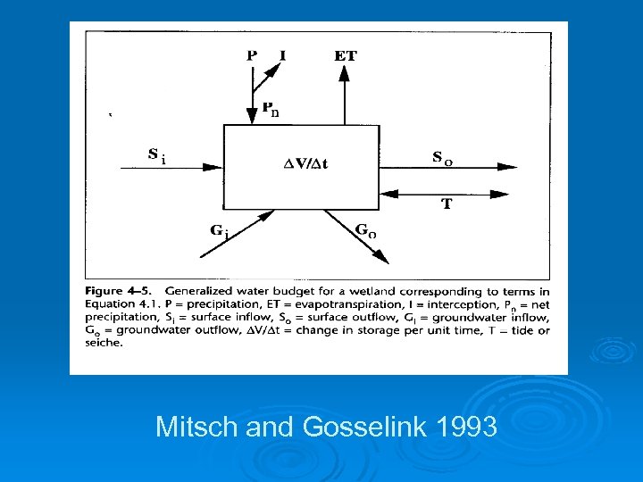 Mitsch and Gosselink 1993 
