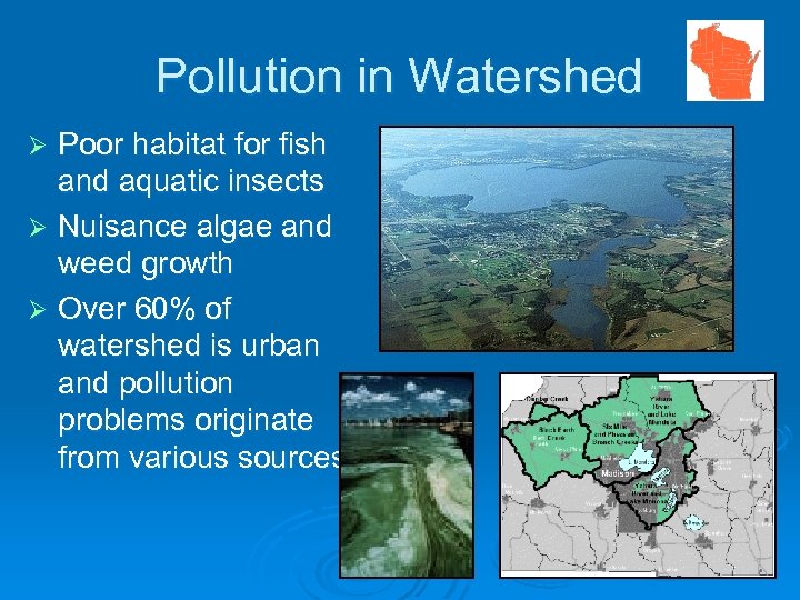 Pollution in Watershed Poor habitat for fish and aquatic insects Ø Nuisance algae and