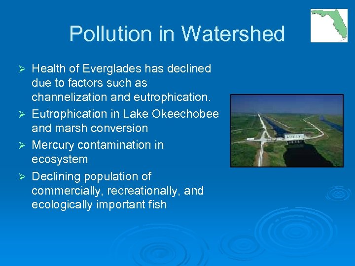 Pollution in Watershed Health of Everglades has declined due to factors such as channelization