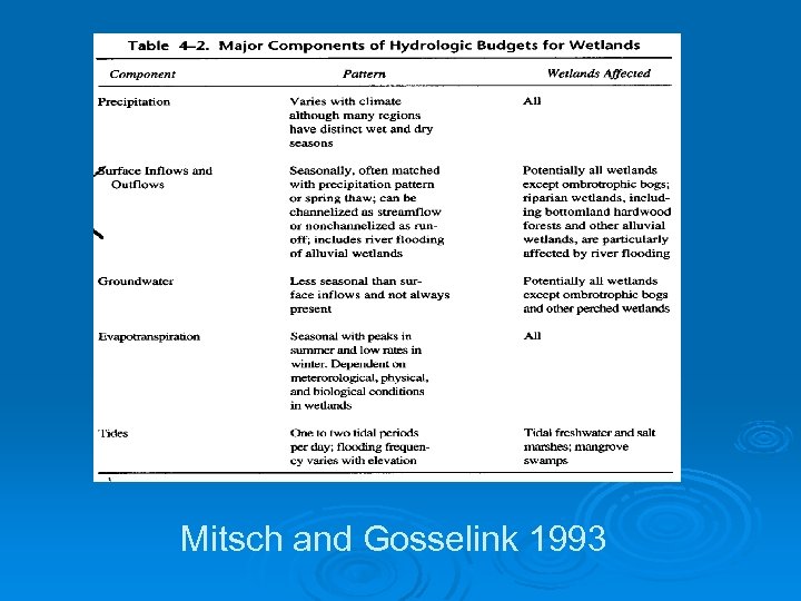 Mitsch and Gosselink 1993 