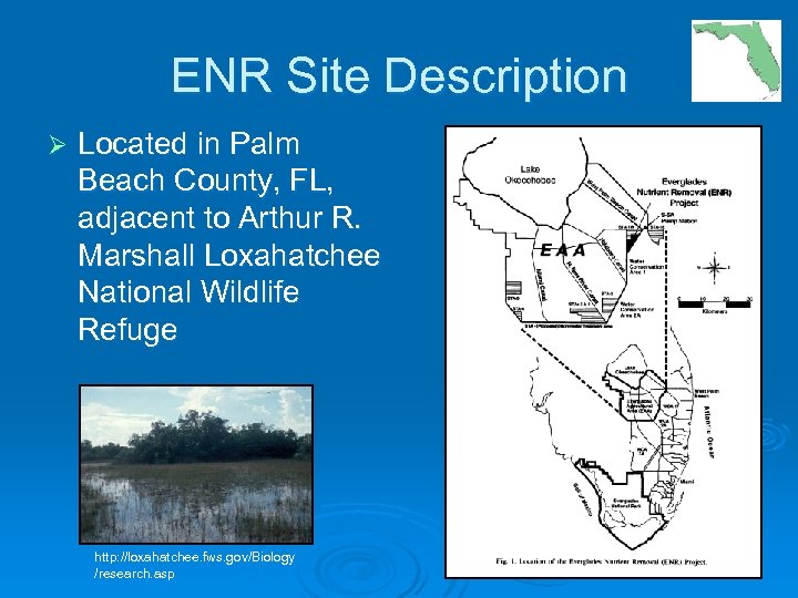 ENR Site Description Ø Located in Palm Beach County, FL, adjacent to Arthur R.