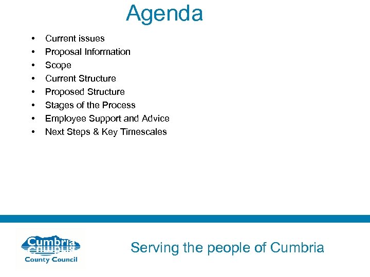 Agenda • • Current issues Proposal Information Scope Current Structure Proposed Structure Stages of