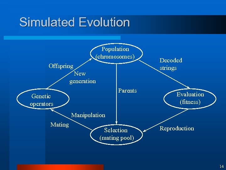 Simulated Evolution Population (chromosomes) Offspring New generation Parents Genetic operators Decoded strings Evaluation (fitness)