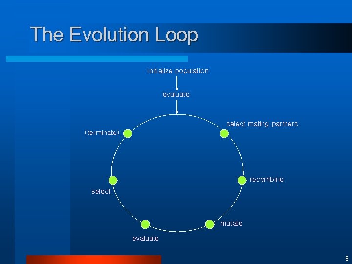 The Evolution Loop initialize population evaluate select mating partners (terminate) recombine select mutate evaluate