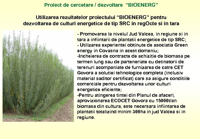 Proiect de cercetare / dezvoltare “BIOENERG” Utilizarea rezultatelor proiectului “BIOENERG” pentru dezvoltarea de culturi