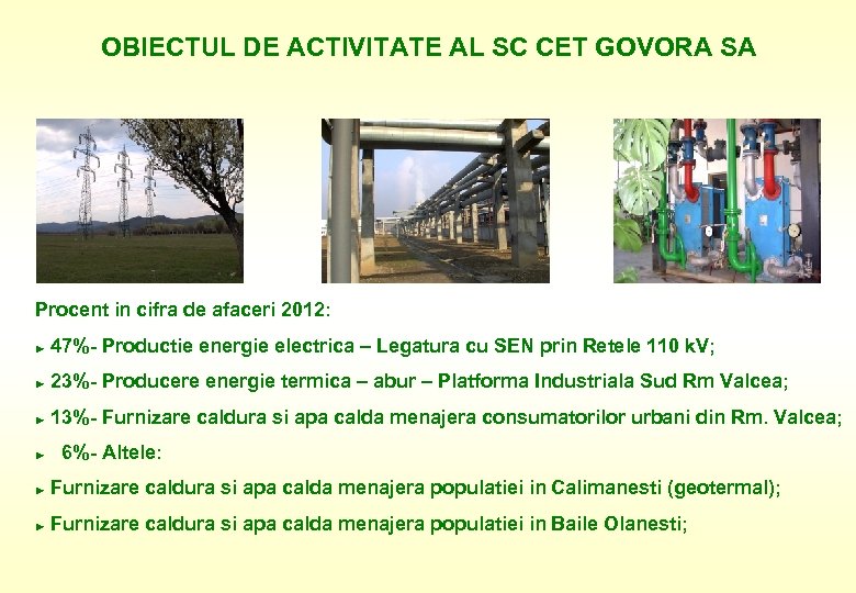 OBIECTUL DE ACTIVITATE AL SC CET GOVORA SA Procent in cifra de afaceri 2012: