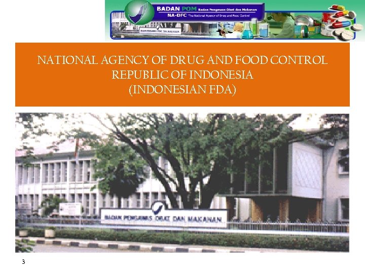 REGULATION OF PROCESSED FOOD IN INDONESIA NATIONAL AGENCY