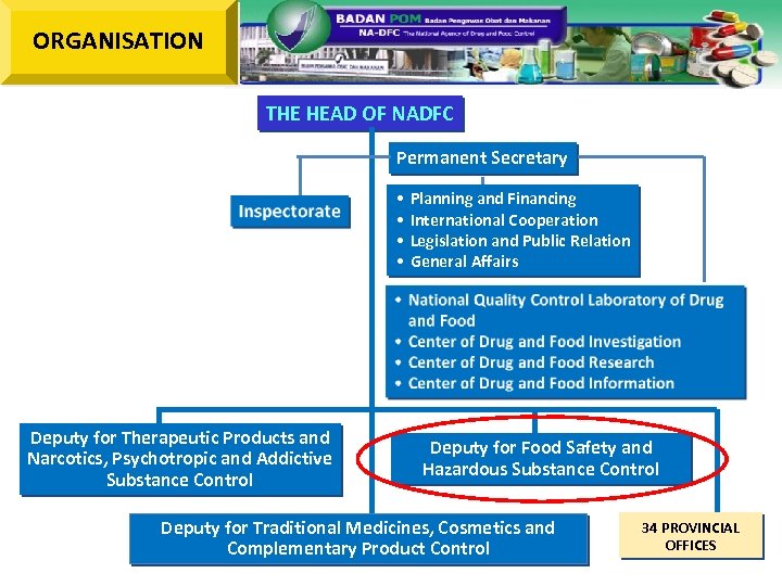 ORGANISATION THE HEAD OF NADFC Permanent Secretary • • Deputy for Therapeutic Products and