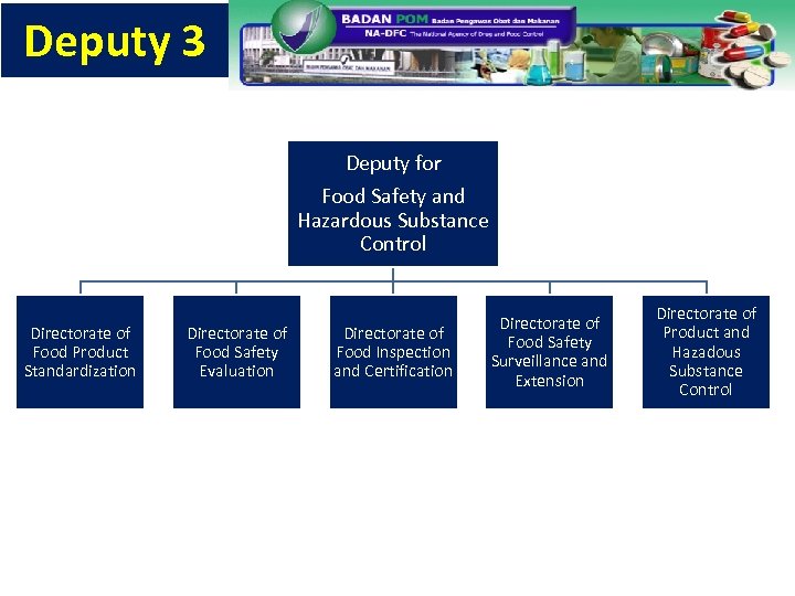 Deputy 3 Deputy for Food Safety and Hazardous Substance Control Directorate of Food Product