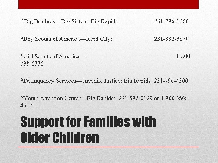 *Big Brothers—Big Sisters: Big Rapids- 231 -796 -1566 *Boy Scouts of America—Reed City: 231