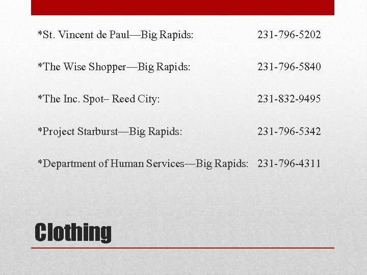 *St. Vincent de Paul—Big Rapids: 231 -796 -5202 *The Wise Shopper—Big Rapids: 231 -796