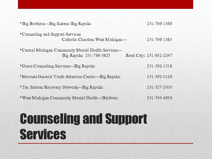*Big Brothers—Big Sisters: Big Rapids- 231 -796 -1566 *Counseling and Support Services Catholic Charities