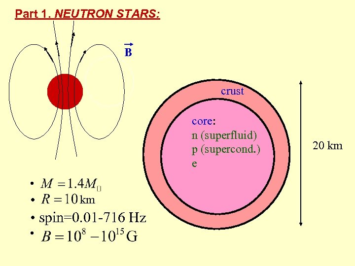 Part 1. NEUTRON STARS: B crust core: n (superfluid) p (supercond. ) e •