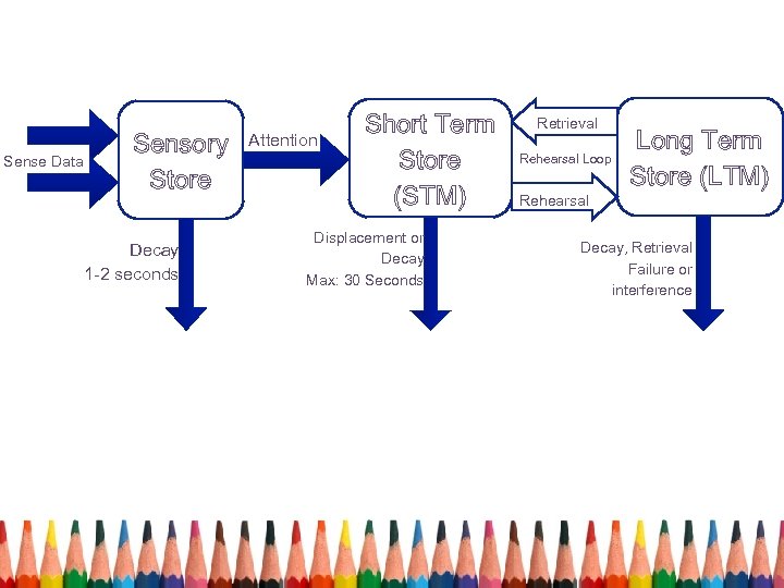 Sense Data Sensory Store Retrieval Rehearsal Loop Long Term Store (LTM) Rehearsal Decay, Retrieval